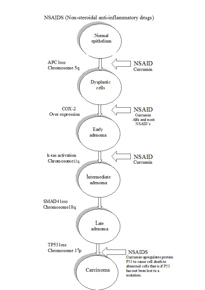 Colon Polyp Size Chart